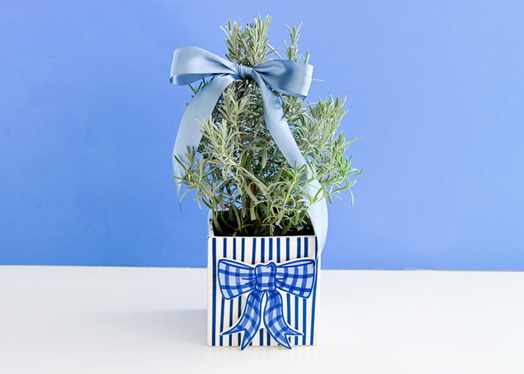 Blue Gingham Bow Attachment