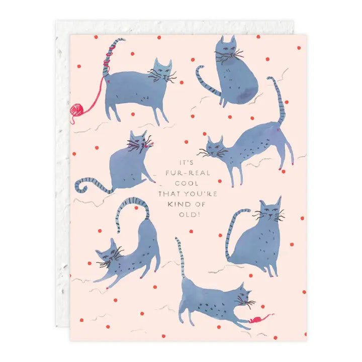 Playful Cats Card