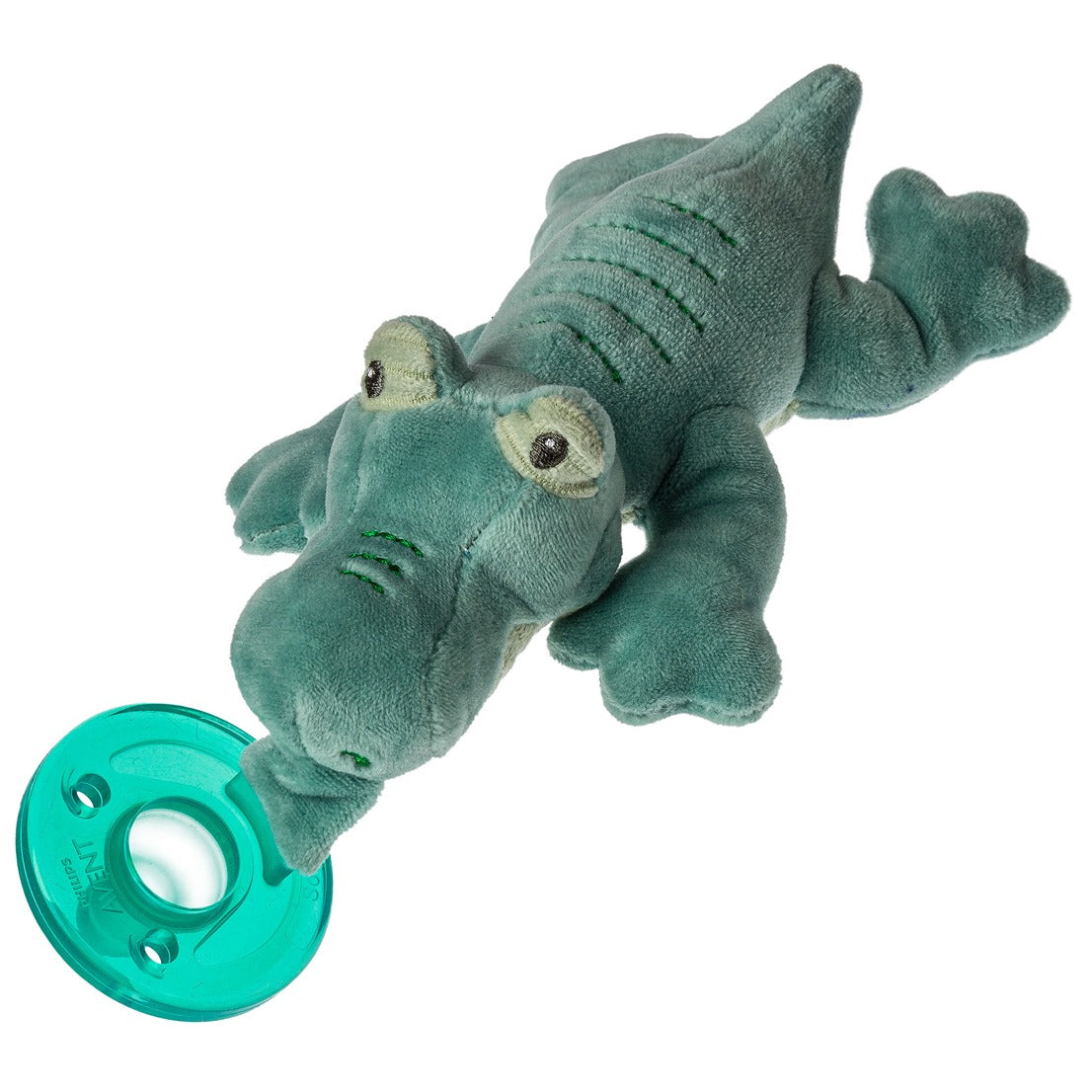 Afrique Alligator