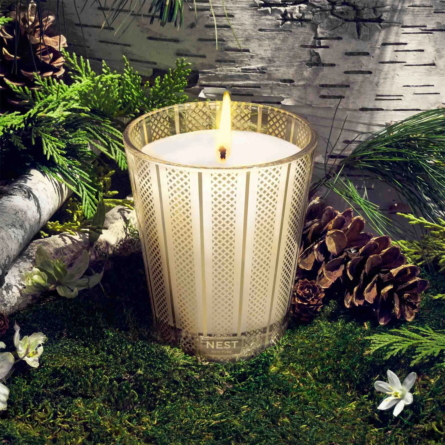 Birchwood Pine Classic Candle