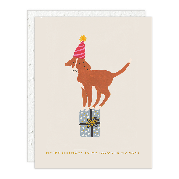 Birthday Dog Card