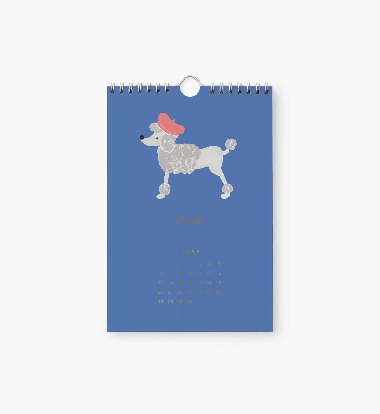 Dog of the Month 2027 Calendar