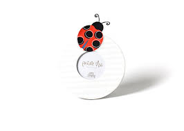 Ladybug Big Attachment