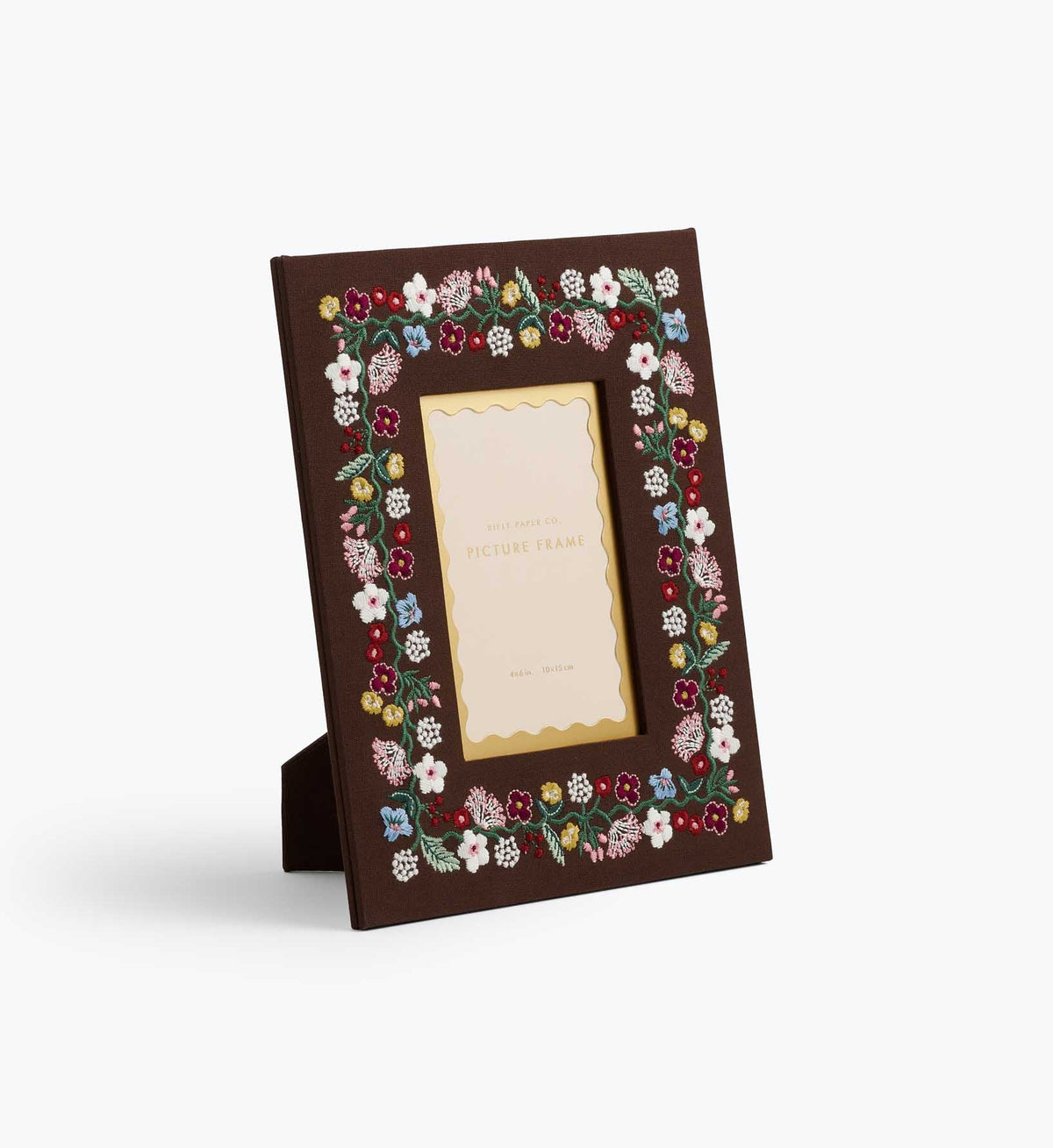 Paisley Vines Embroidered Frame
