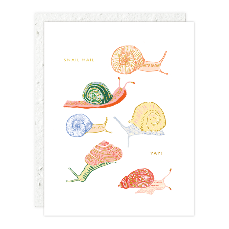 Snail Mail Cards
