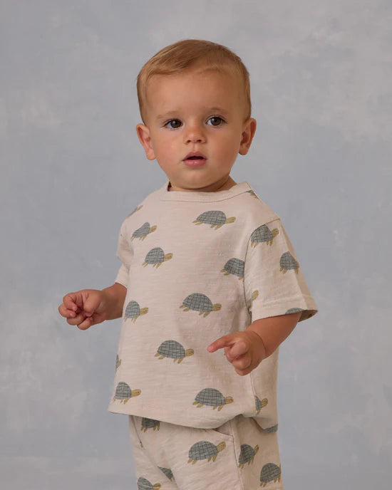 Play Set Sea Turtles