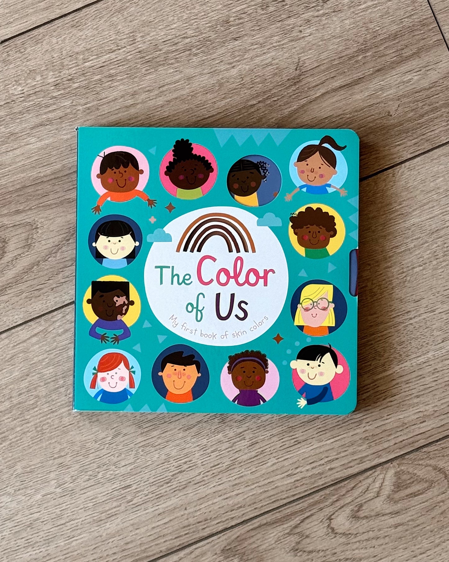 The Color Of Us Book