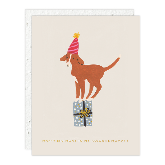 Birthday Dog Card