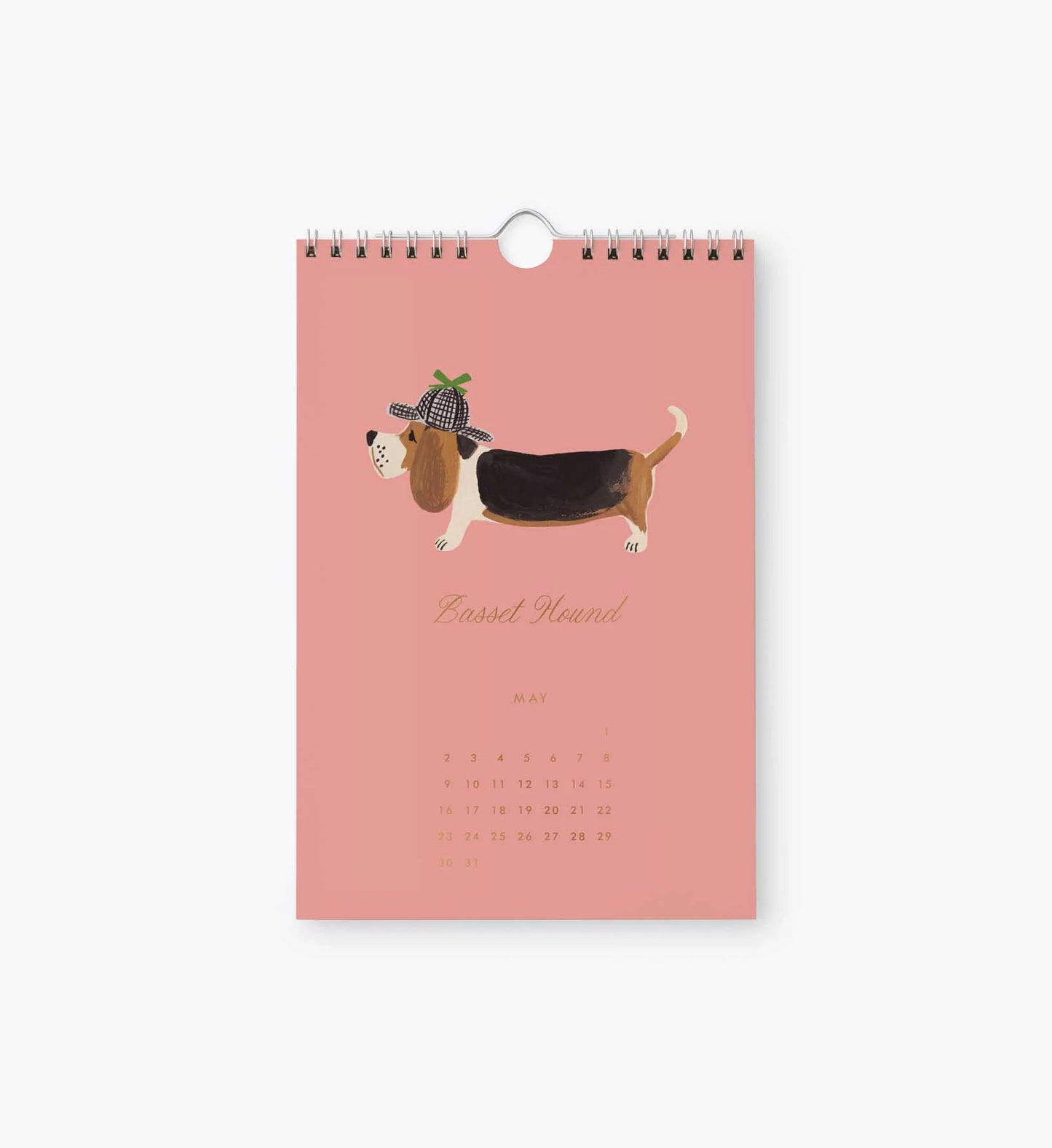 Dog of the Month 2027 Calendar