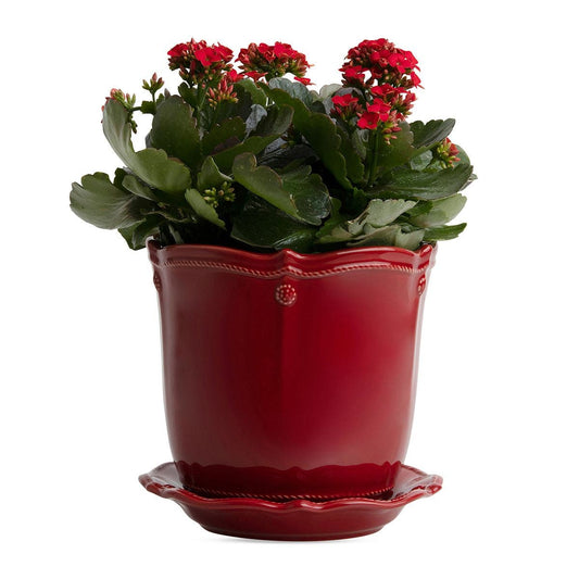 Lg Ruby B&T Planter