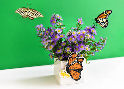Monarch Attachment