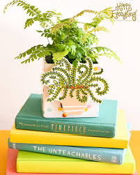 House Plant 2025 Attachelor