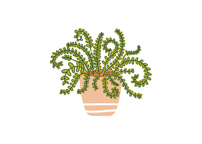 House Plant 2025 Attachelor