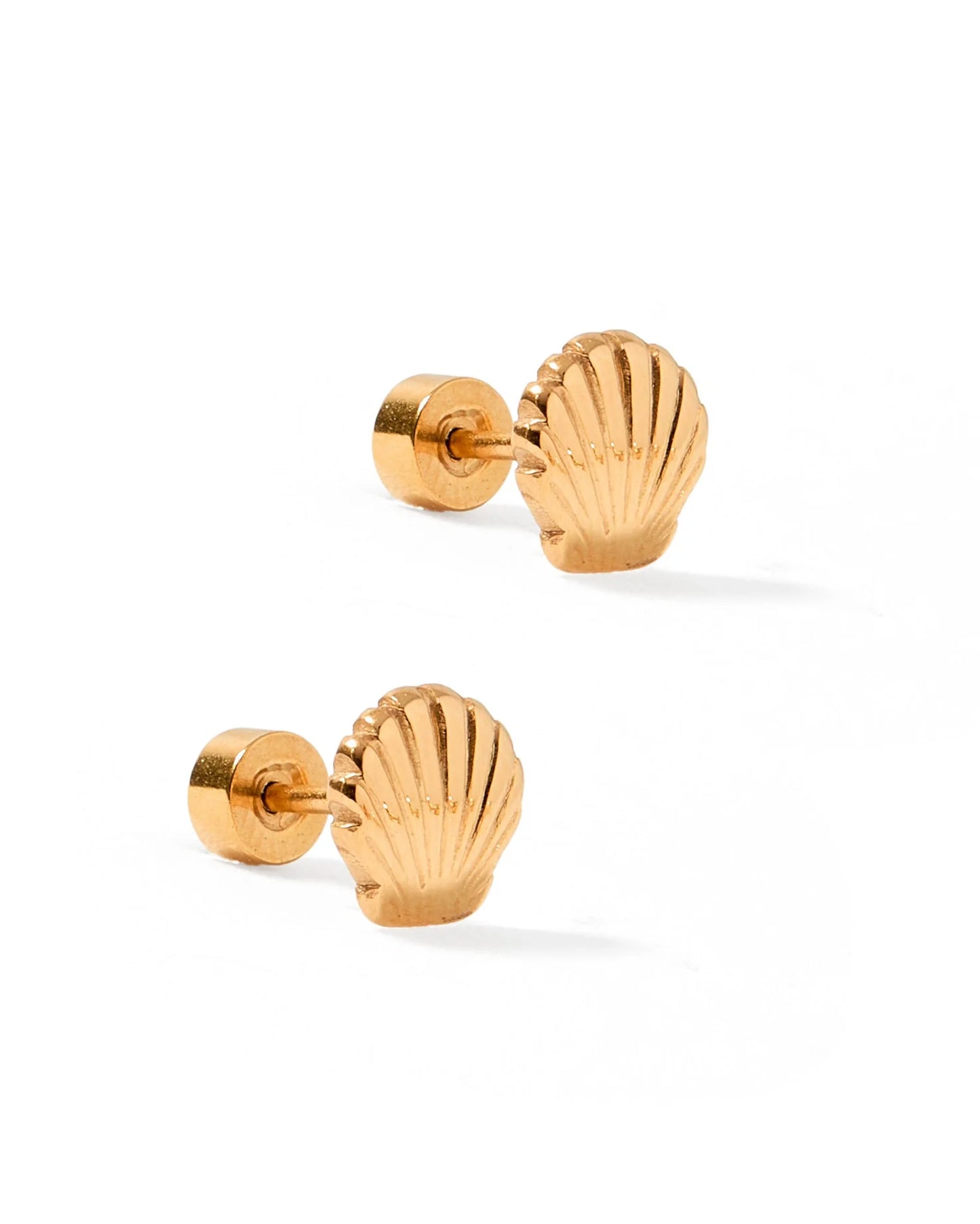Marina Shell Studs