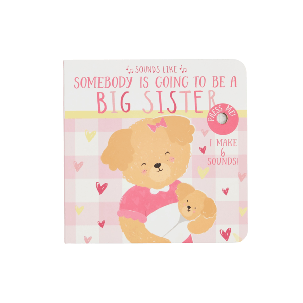 Sounds Like Sibling Book