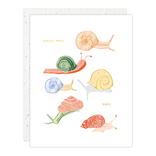 Snail Mail Cards