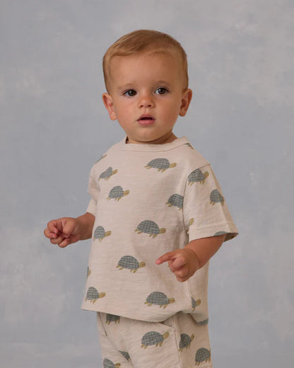 Play Set Sea Turtles